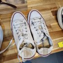 워시테리아 관평점 이미지