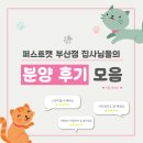 고양이전문점 허니캣 | 부산고양이분양 전문점 퍼스트캣의 고양이분양 후기