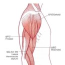 피티플렉스 이미지
