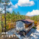 소나무숲 방주산장 | 강원도 화천펜션, 사내면 단체펜션 화천산천어축제 숙소
