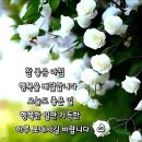 간추린 뉴스 이미지