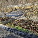 수아농원 이미지