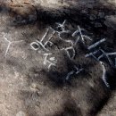 DSC06570-1.jpg 이미지