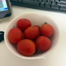 수한의원 | 비대면 맞춤 처방 가능한 강남 제나한의원 다이어트환 2주 복용 내돈내산 후기