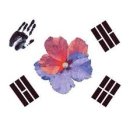 아리랑 휘트니스 이미지