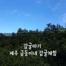 호양농장 네이버블로그