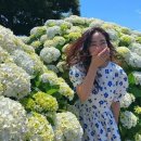 진재영 카카오 검색결과