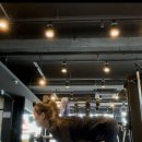 재송2동-25 이미지