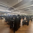 자마이카 짐 이미지