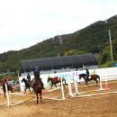 동서울 승마장 이미지