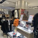 롯데일산반스