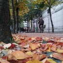 대림엄마의밥상 이미지