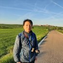 산티아고 순례길 11 - 로스 아르꼬스에서 로그로뇨.