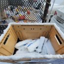 만수4동-2 이미지