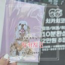치카치코 이미지