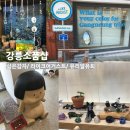[강릉 아기자기한 소품샵] 삶은감자, 라이크어거스트, 유리알유희