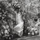 웨딩스위치 이미지