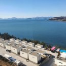 비고리조트 2 이미지