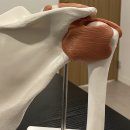 예스본한의원 이미지