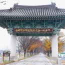 구미 가볼만한곳 도리사 극락전 신라의 최초 절 아도화상 보물 석탑