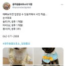 평사(여) 이미지