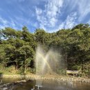 돌체펜션2 이미지