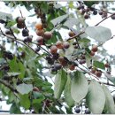 양영디지털고등학교 이미지