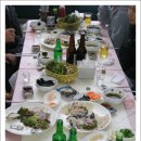 [주문진/후기-2] 복사시미 맛보러 횟집으로 go`goㅡ쓔~웅~