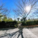 인스나인유치원 이미지