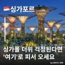 싱가포르 더위를 확 날려주는 가든스바이더베이 야경 코스 추천 도심 속 실내 온실 식물원