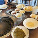 편백육인 티스토리