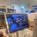 성산일출봉맛집아시횟집고등어회딱새우회 | 제주 성산일출봉 맛집 : 아시횟집 고등어회&딱새우회 솔직 후기