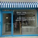 펫피르그루밍 이미지