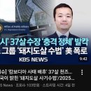 돼지프린스 이미지