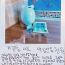 솔터초등학교 이미지