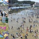 얼음 둥둥 오싹오싹, 더위야 가라! Cool Summer Festival 이미지