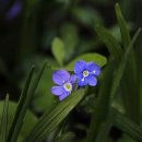 소래유치원 이미지