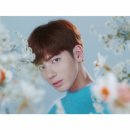 태현 카카오 검색결과