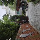 도심속금정산숲속둘레길(미남역11.범어사역1).26.6.21. 이미지