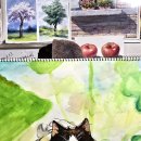 무룡초등학교 이미지