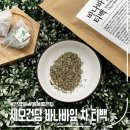 세모건담 네이버블로그