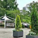 자양 게임장 이미지