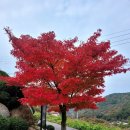 한빛약국 | 전주 한빛안경 추천 : 오피스 안경