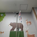 남악골 산야초 | [블챌]주간일기 챌린지(8.26.코로나4일차, 미접종코로나후기)