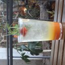 애월도서관 | 제주 애월 카페 추천 새별오름 뷰 제주당 베이커리