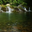 이끼 - 중구 다산로29길 30 | 이끼