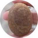 안흥초등학교신진도분교장 이미지