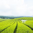 하북3길 이미지