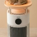 메이드 펫 이미지