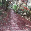 광산구-151 이미지